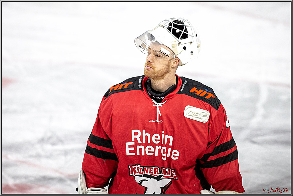 DEL-Playoff; Koelner Haie - ERC Ingolstadt, 24.03.2019